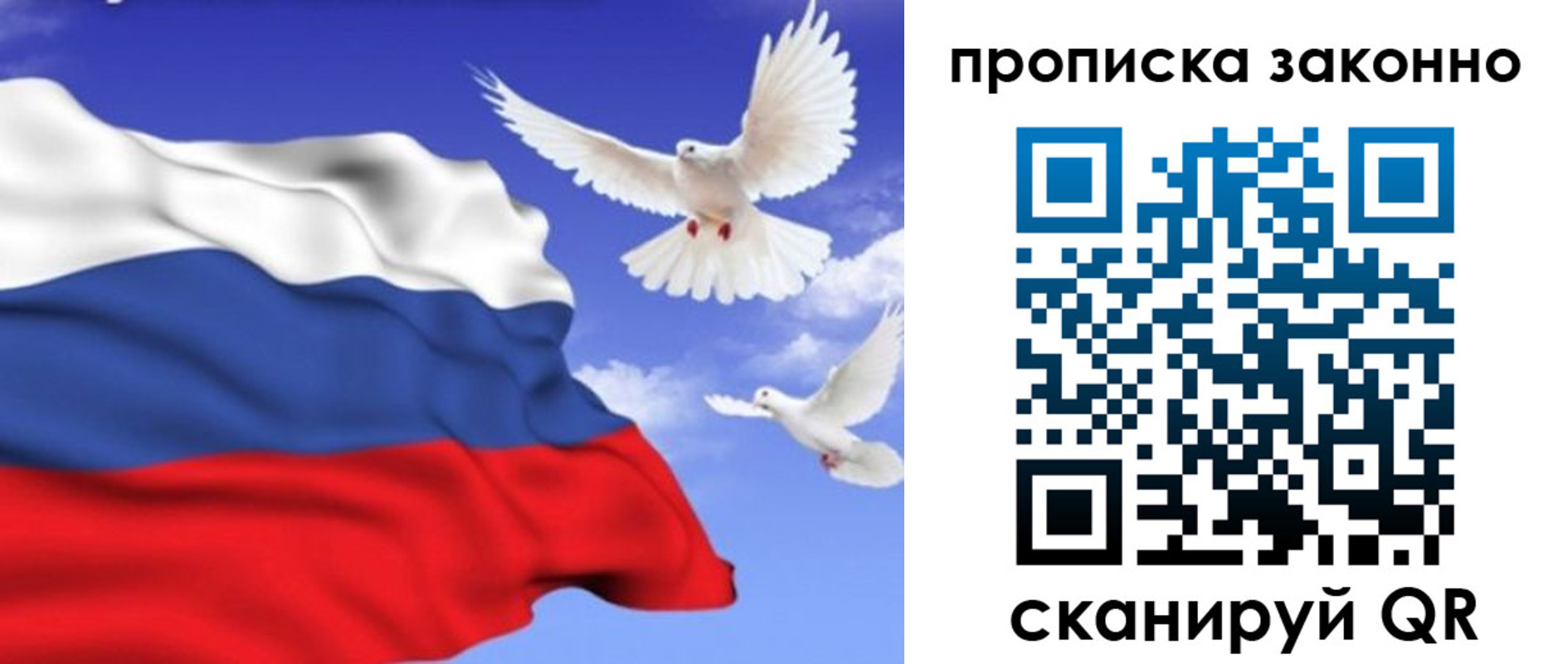прописка в Боре