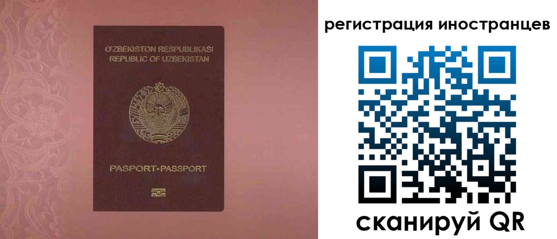 временная регистрация госуслуги в Боре